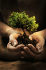 Planting Christianity